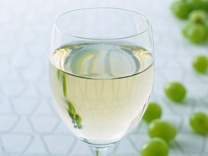 解惑特性标记：专业人士的深度解析